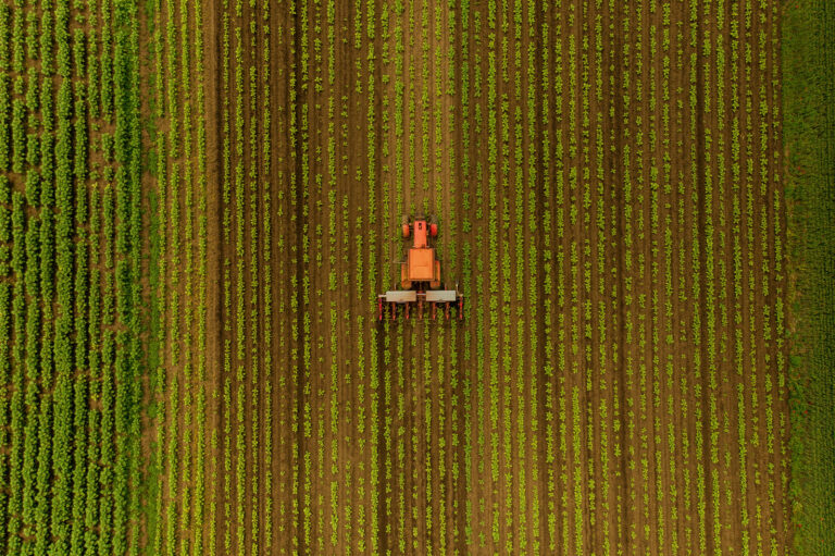 Aufnahme aus der Vogelperspektive: ein roter Traktor zieht auf einem Feld seine Bahnen.