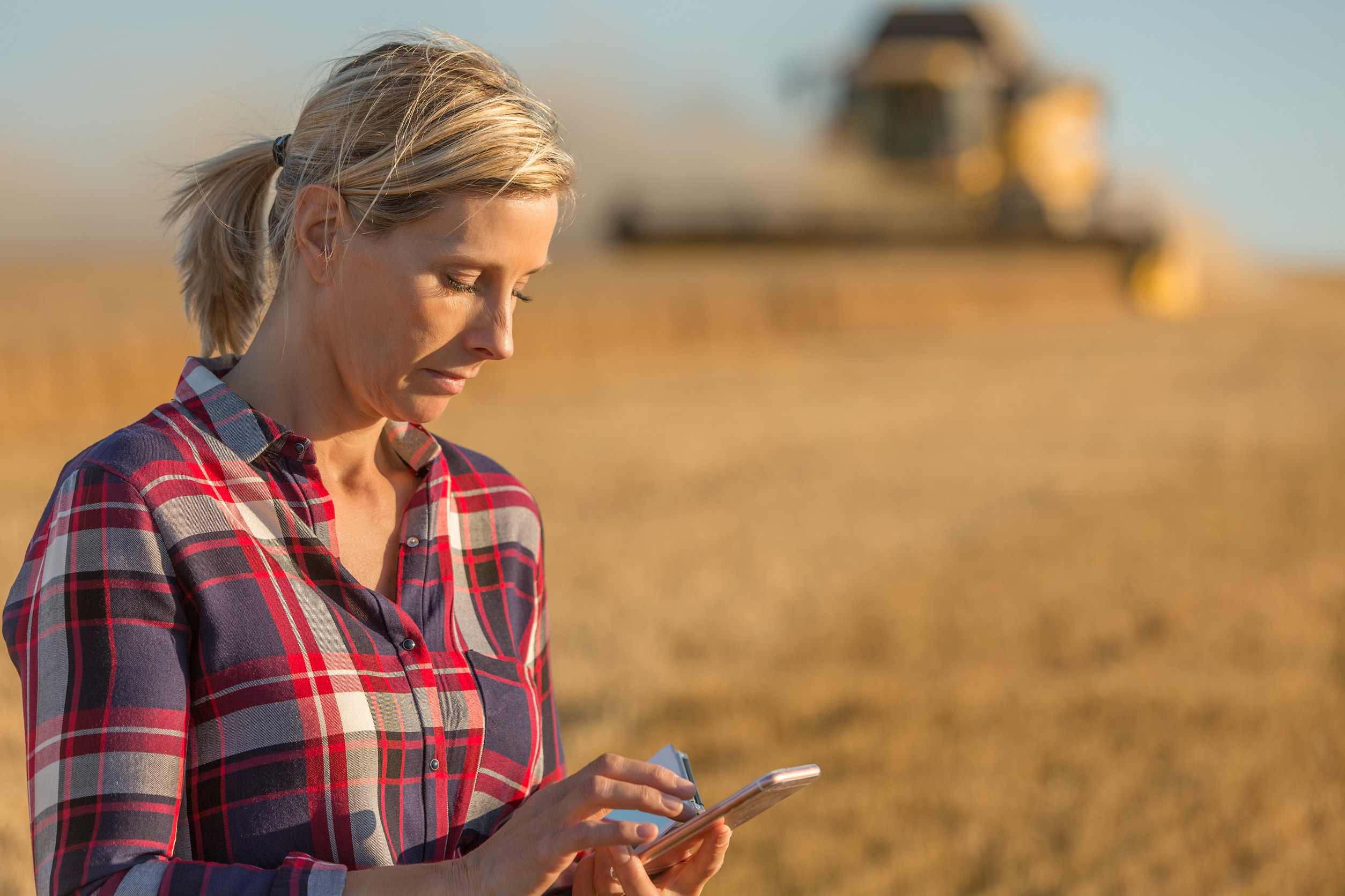 Landwirtin steht auf einem erntereifen Getreidefeld und schaut auf ihr Handy, im Hintergrund ein Mähdrescher.