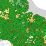 Ausschnitt aus einer Landkarte, die Kreisgenau den Stand des Glasfaserausbaus in Schleswig-Holstein anzeigt.
